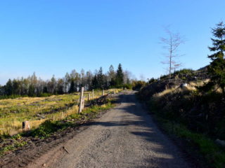 Lesní cesta pod Kelčským Javorníkem