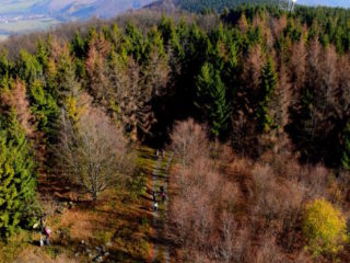 Cesta dál směr Podhradní Lhota a Rajnochovice