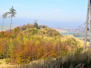 Zřícenina Nový Šaumburk -Zubříč