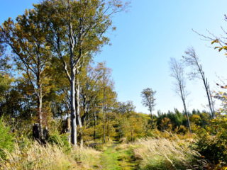 Na hřebenu Veřovických vrchů