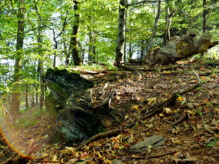 Skalní útvary na Huštýně