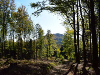 Pohled na Kamenárku při cestě z Dlouhé