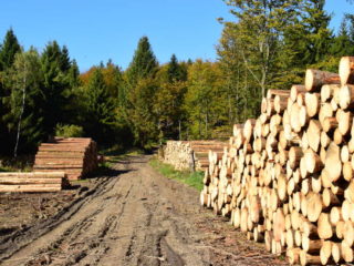 Vykácené dřevo pod Kamenárkou