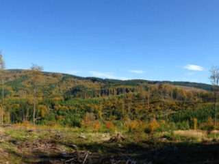 Velký Javorník a Malý Javorník - pohled z úbočí Kamenárky