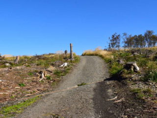 Pustina pod rozcestím u Malého Javorníku