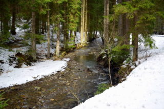 Koryto Smradlavy