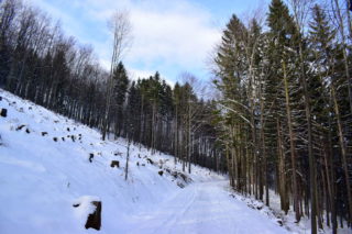 Knížecí cesta na Pustevny