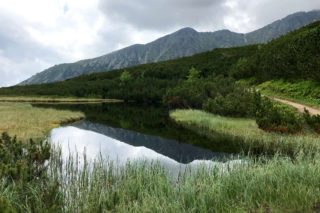 Pohled zpět na Svišťovku od Trojrohého plesa