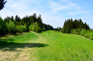 Přes lesy i louky