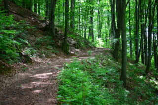 Cesta směrem na Černou horu