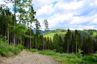 Cesta na Rozpité od chaty Mír