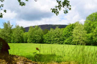 Radhošť z Pavlovy louky