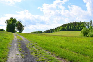 Louky mezi Dolní Bečvou a Rožnovem