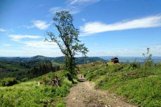 Stromy byly nahrazeny výhledy