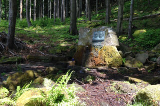 Studánka cestou dolů