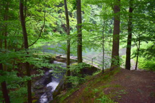 Nádržka na Jičínce