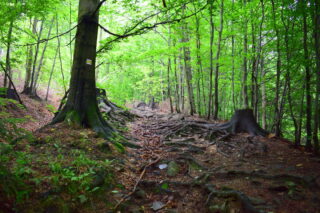Cesta na hřeben Veřovických vrchů