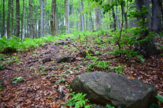 Kamení na Kamenárce