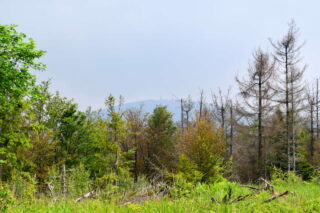 Velký Javorník v oparu