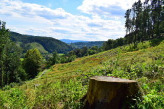 Nad Jarcovou, výhled na Vsetínské vrchy