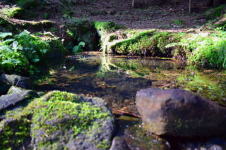 Studánka pod Němčankou