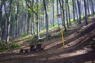 Rozcestí pod Černou horou