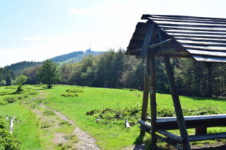 Louka na Velké Polaně