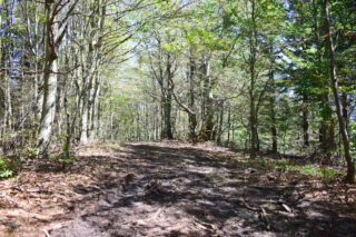 Černá hora po cestě dolů