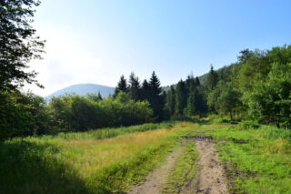 Sedlo pod Velkým Lipovým a Ropice vzadu