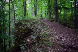 Skalky na hřebeni