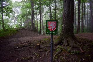 Buk černých myslivců