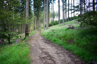 Cesta na hřeben k Polaně