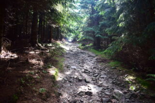 Stoupání k Vysoké