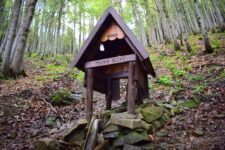 Rožnovská Bečva, pramen