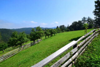 Samoty nad Vsetínem