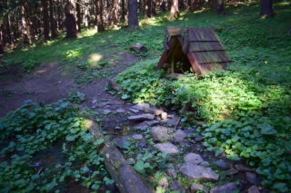 Javornická studánka