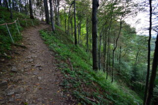 Serpentiny cestou na Velký Javorník