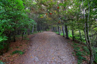 Pod Velkým Javorníkem