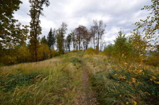 Vrchol Kabátice