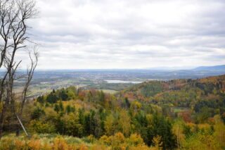 Výhled z Kabátice k rozhledně Panorama