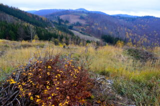 Podzimní Hostýnské vrchy