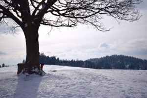 Bludný a výhled na Marušku