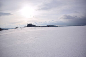 Zasněžené louky pod Bludným