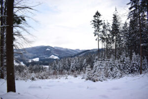 Hošťálkovské polesí