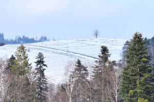 Výhled na javor