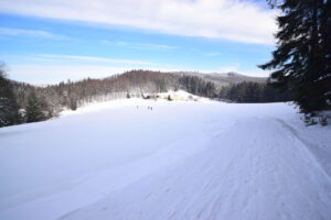 Salajka, myslivna