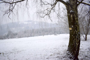 Valašská Bystřice, u Petruželů