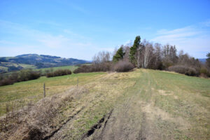 Zuberský kopec, Zuberák, Vidče