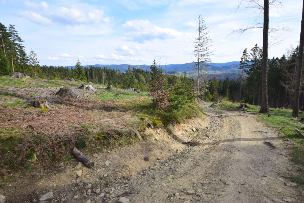 Výhled nad Dolní Bečvou