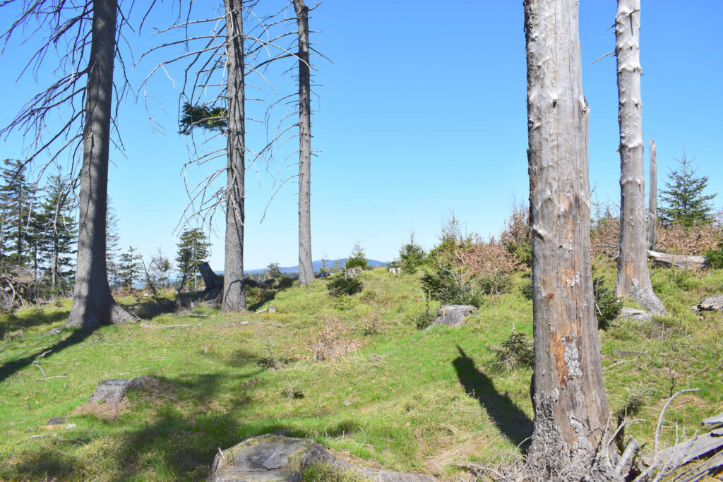 Kladnatá, Moravskoslezské Beskydy